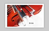 st violin bow a5.jpg